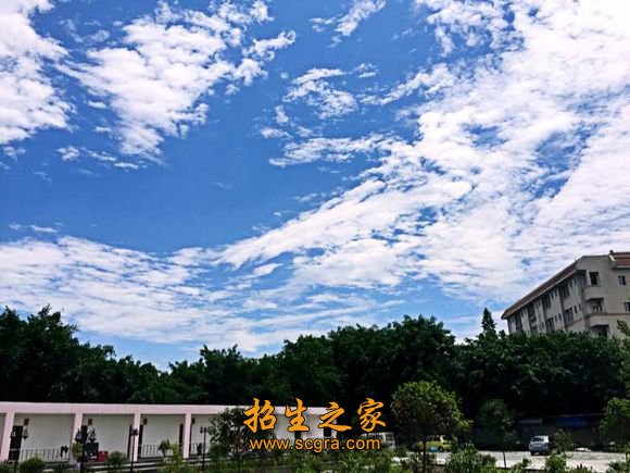 校園風光