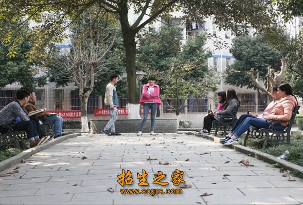 校園風(fēng)光