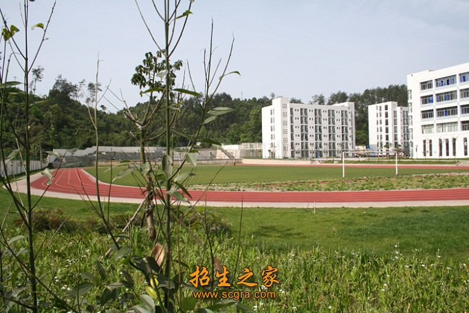 學(xué)校操場(chǎng)