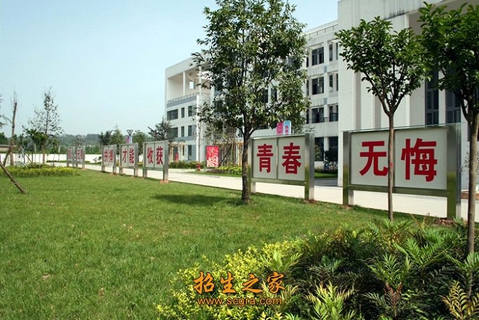 青春無(wú)悔