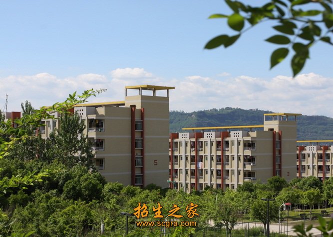 校園掠影