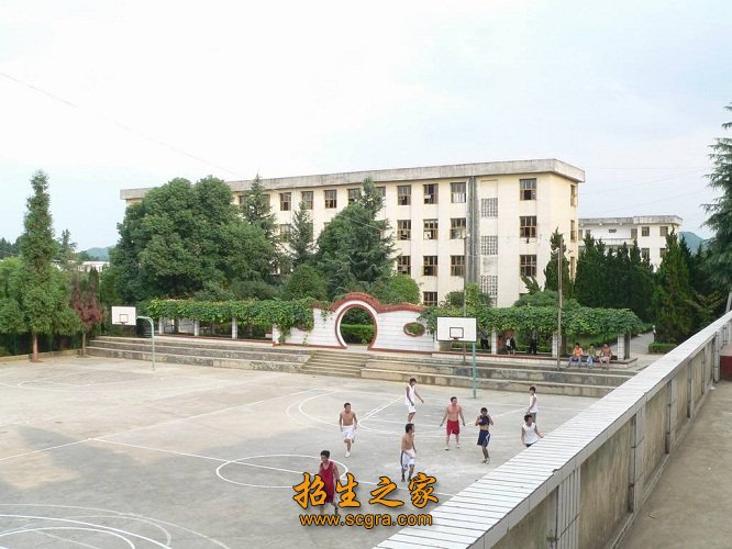 學(xué)校運動