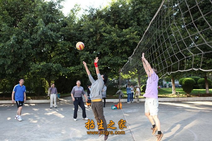 籃球運(yùn)動