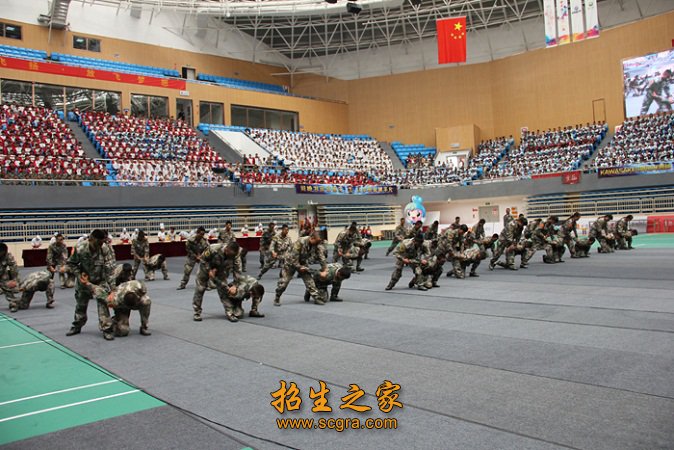 素質(zhì)訓練