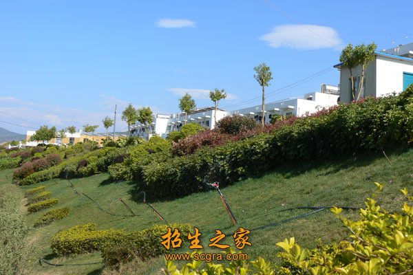 校園風(fēng)光