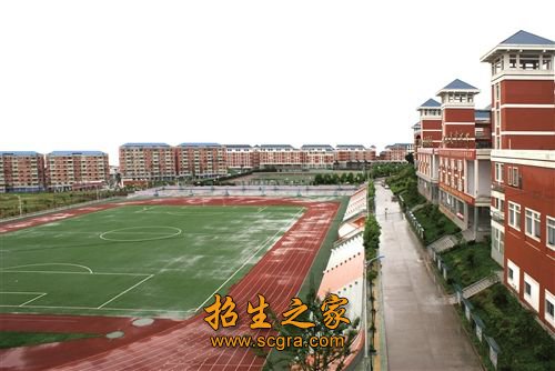 學(xué)校操場(chǎng)