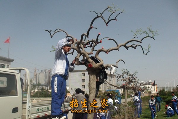 教學現(xiàn)場