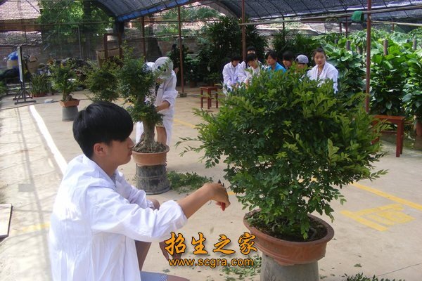 教學現(xiàn)場