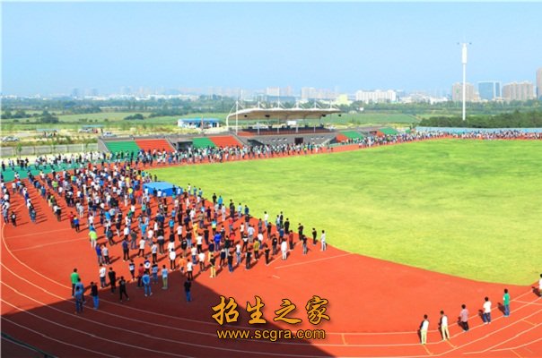 校園運(yùn)動會