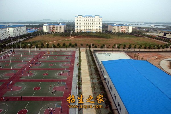 學習操場