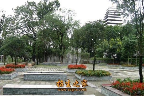 校園風景