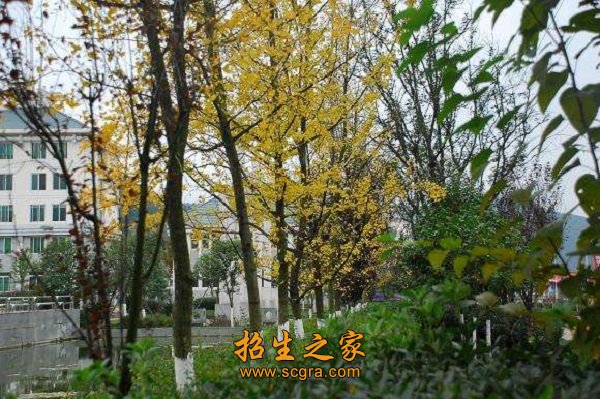 仙巖風景區(qū)