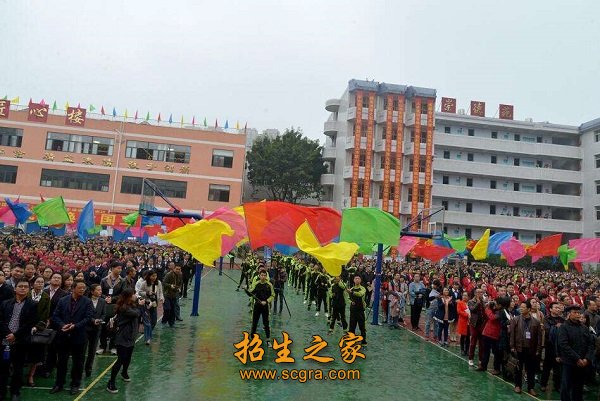 學(xué)?；顒?dòng)