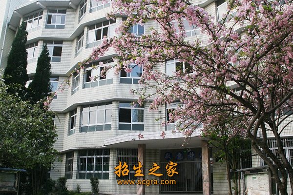 校園風(fēng)景