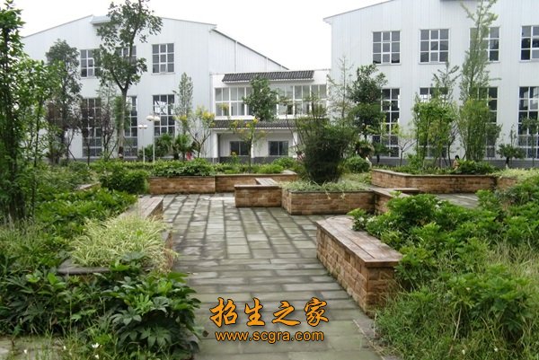 學校風景