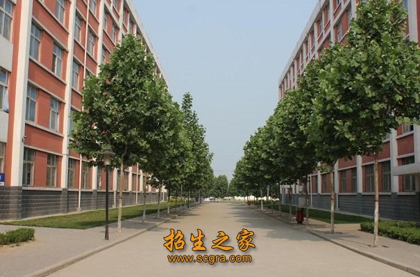 校園風(fēng)景