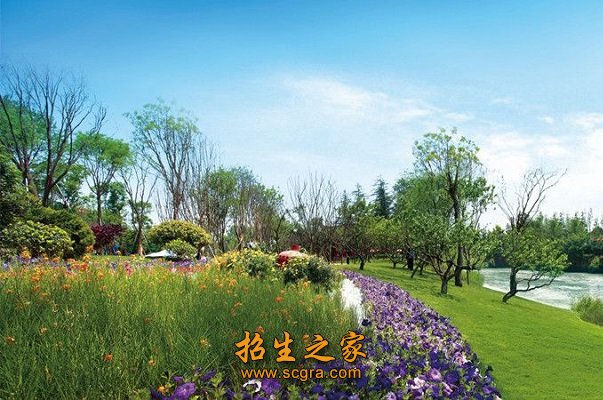 校園風景