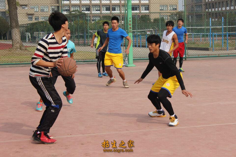 籃球活動(dòng)
