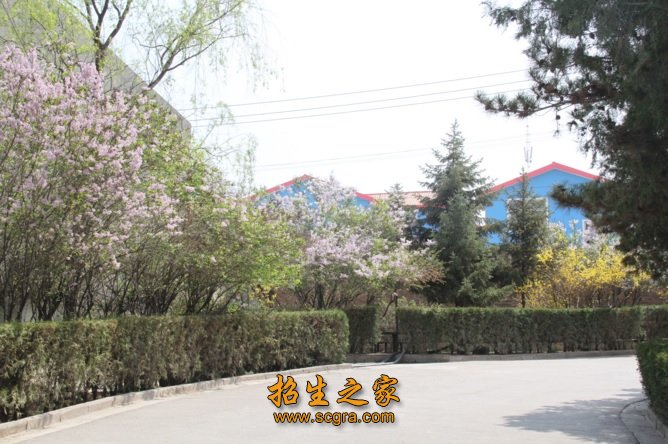 學校景色