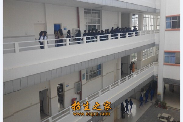 大理市中等職業(yè)學校