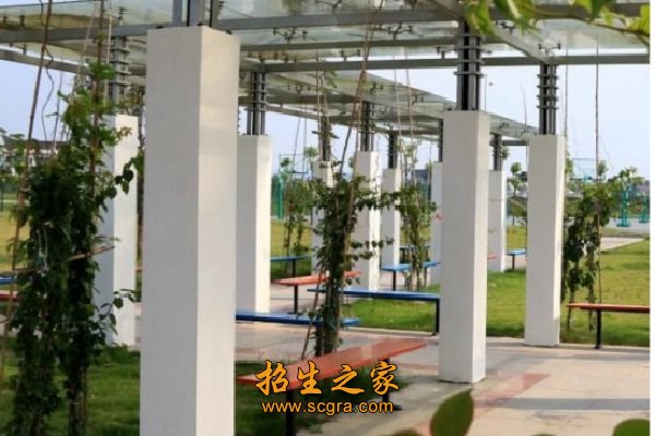 成都藝術(shù)職業(yè)學(xué)院開(kāi)設(shè)專業(yè)和報(bào)考條件是什么
