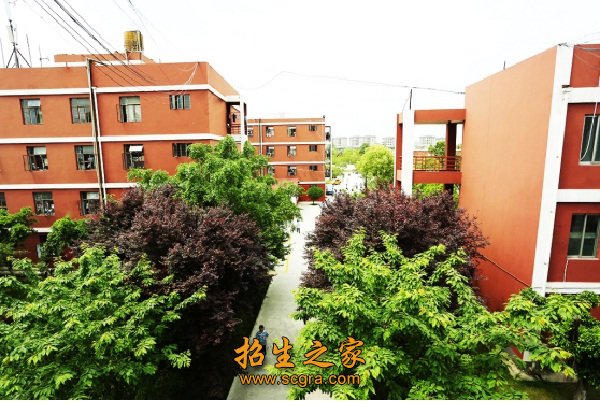 成都天府職業(yè)技術學校的管理如何升學情況怎樣