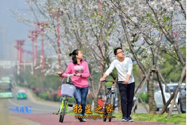 眉山職業(yè)技術(shù)學(xué)院開(kāi)設(shè)專業(yè)_升學(xué)渠道