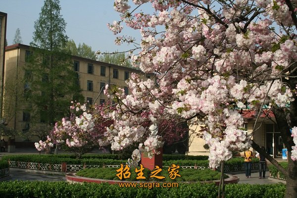 學校環(huán)境