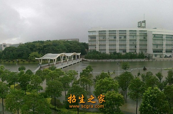 學(xué)校環(huán)境