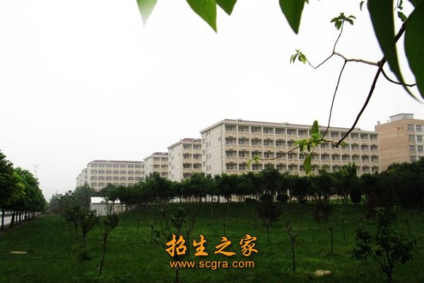 徐州幼兒師范高等專(zhuān)科學(xué)校