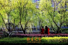 江西外語外貿(mào)職業(yè)學院