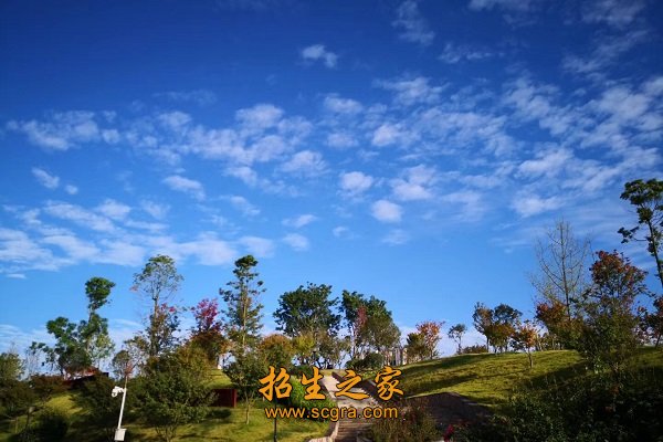學(xué)校