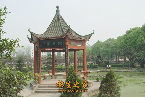 學校環(huán)境