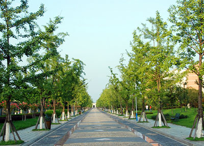 職高錄取分數(shù)