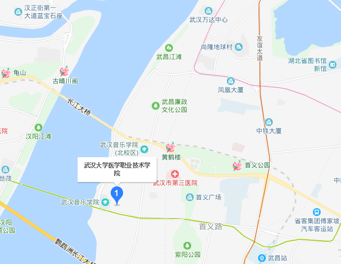 武漢大學醫(yī)學職業(yè)技術學院2020年地址在哪里