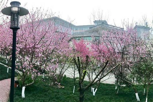 四川愛華職業(yè)學(xué)院辦學(xué)性質(zhì)、招生要求