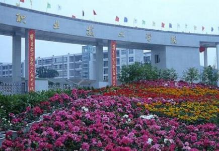 四川職業(yè)技術(shù)學(xué)院的學(xué)校環(huán)境怎么樣