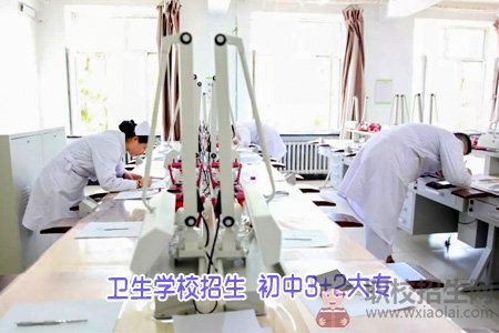 成都市衛(wèi)校招生要求？