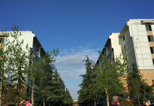 成都成工科技學(xué)校開設(shè)了哪些專業(yè)？