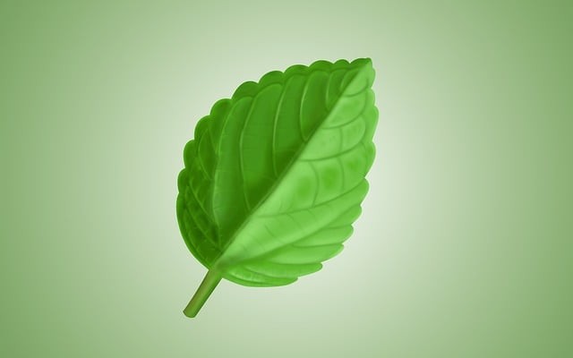 四川省滎經(jīng)縣職業(yè)高級(jí)中學(xué)2025年招生簡章