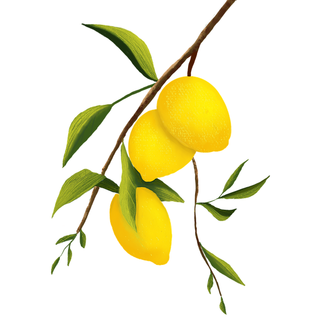 石家莊京華中等專業(yè)學(xué)校動漫設(shè)計專業(yè)怎么樣?