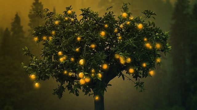 西安生物醫(yī)藥技術(shù)專修學(xué)院2025年錄取分?jǐn)?shù)線