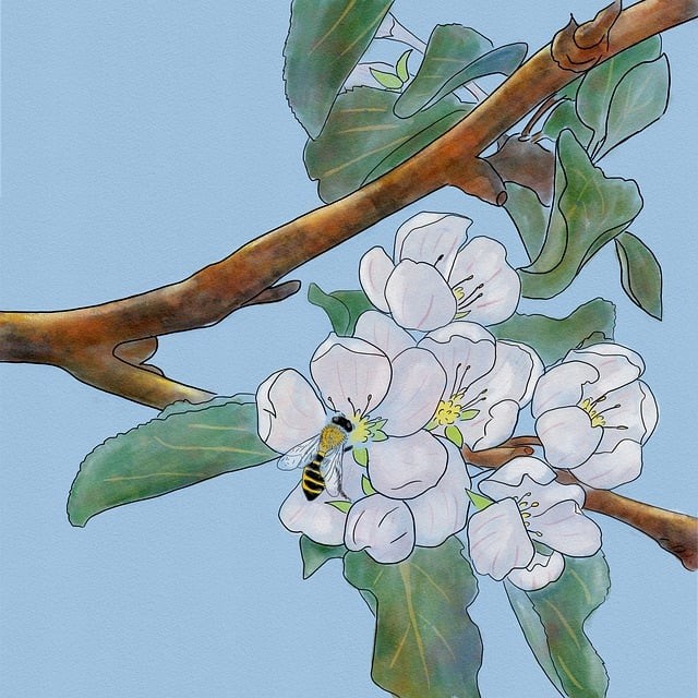 貴陽(yáng)什么專業(yè)就業(yè)前途好