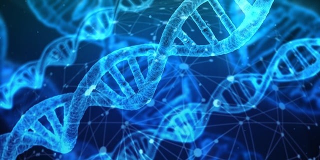 2025年西安交通大學醫(yī)學院附設(shè)衛(wèi)生學校招生簡章