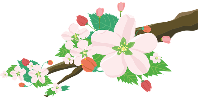河北中專學(xué)校專業(yè)有哪些