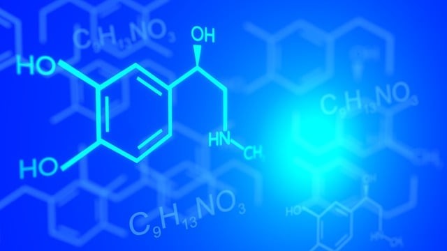 達縣計算機職業(yè)高級中學2025年宿舍條件如何