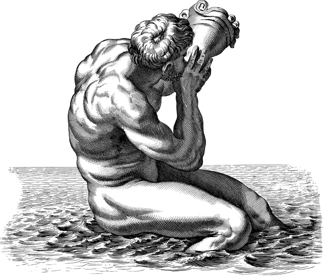 南充高坪?jiǎn)握信嘤?xùn)，四川南充單招學(xué)校排名