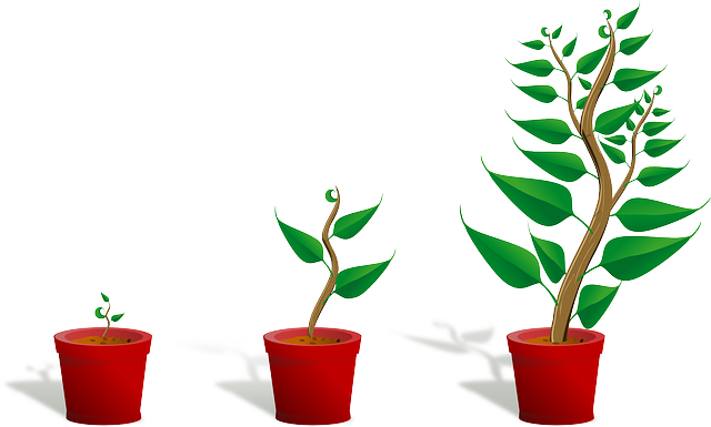 保定動(dòng)力工程技術(shù)技工學(xué)校汽車運(yùn)用與維修專業(yè)怎么樣?